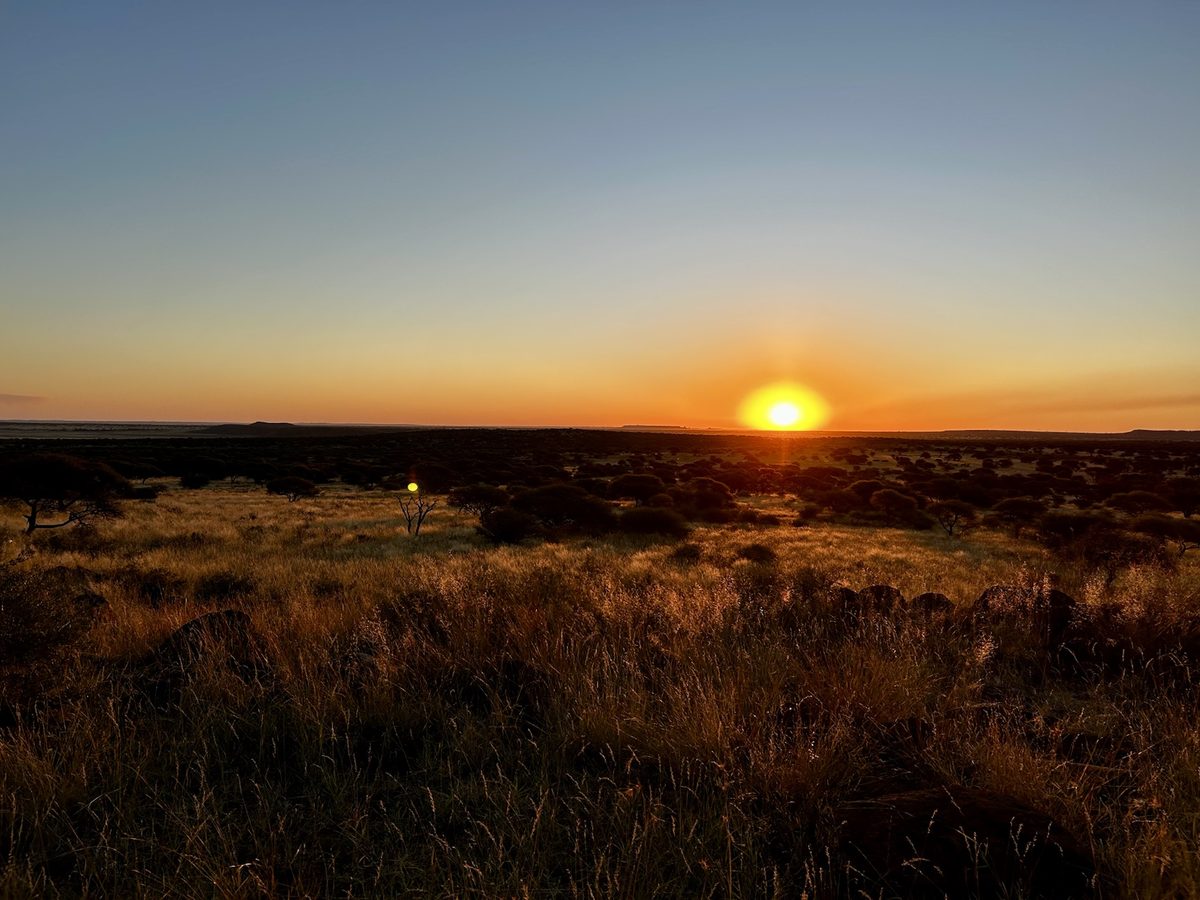 Zon zakt weg boven de bushveld in Zuid-Afrika