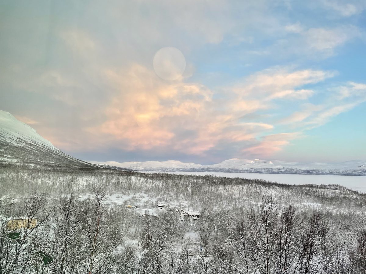 Besneeuwd bos bij dageraad in Zweeds Lapland